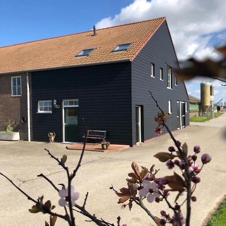 Appartement De Graanzolder Aan Zeeuwse Kust Hoofdplaat Luaran gambar