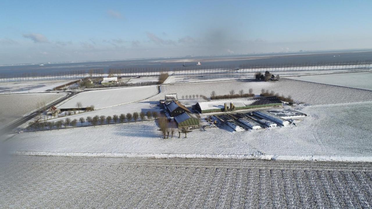 Appartement De Graanzolder Aan Zeeuwse Kust Hoofdplaat Luaran gambar
