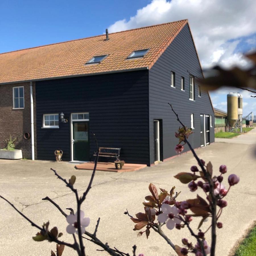 Appartement De Graanzolder Aan Zeeuwse Kust Hoofdplaat Luaran gambar