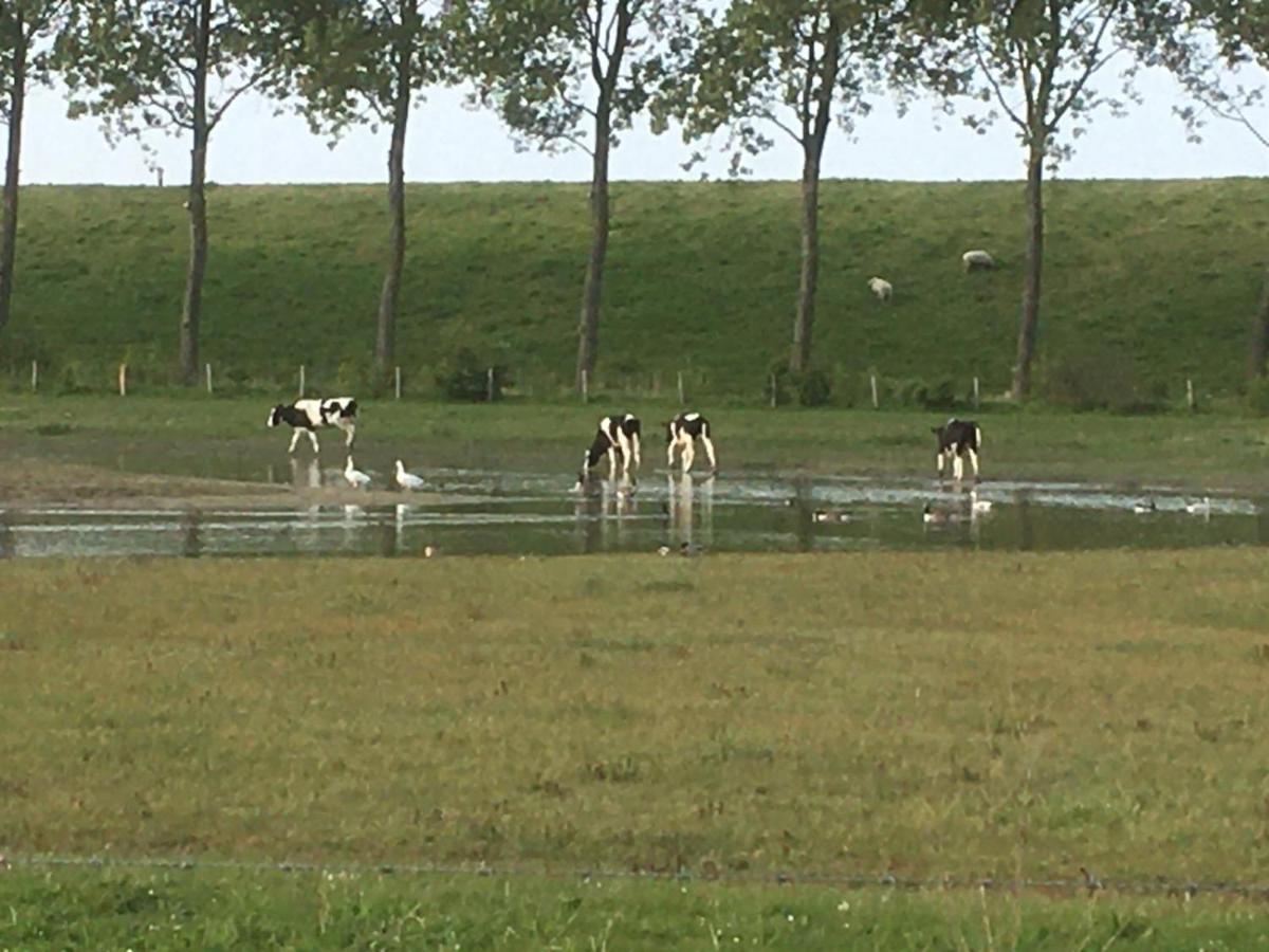 Appartement De Graanzolder Aan Zeeuwse Kust Hoofdplaat Luaran gambar