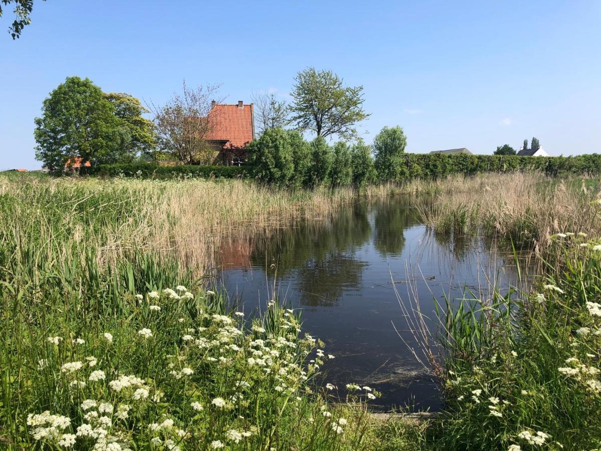 Appartement De Graanzolder Aan Zeeuwse Kust Hoofdplaat Luaran gambar
