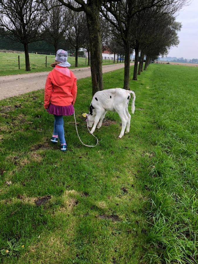 Appartement De Graanzolder Aan Zeeuwse Kust Hoofdplaat Luaran gambar