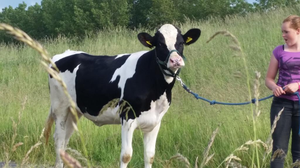 Appartement De Graanzolder Aan Zeeuwse Kust Hoofdplaat Luaran gambar