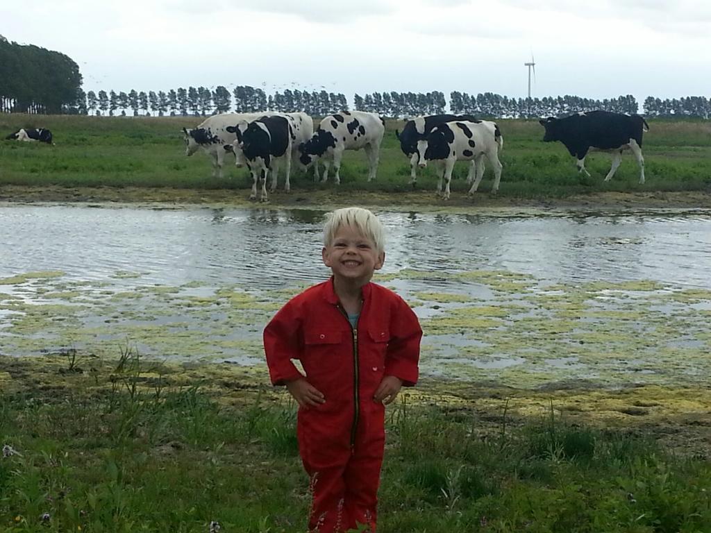 Appartement De Graanzolder Aan Zeeuwse Kust Hoofdplaat Luaran gambar